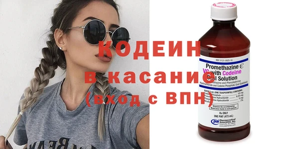 прущие грибы Осташков
