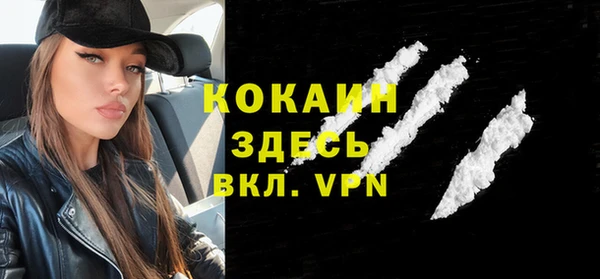 прущие грибы Осташков