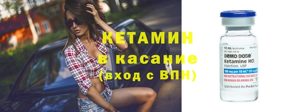 прущие грибы Осташков