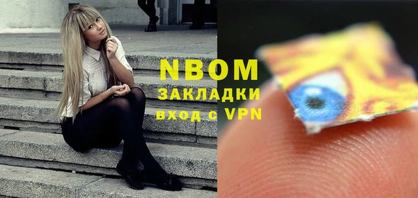 прущие грибы Осташков