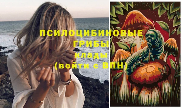 прущие грибы Осташков